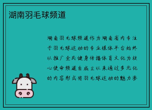 湖南羽毛球频道