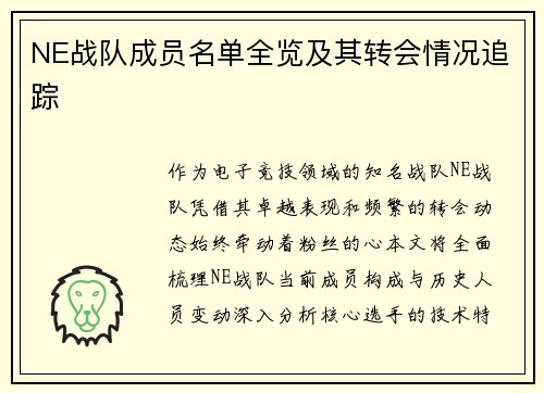 NE战队成员名单全览及其转会情况追踪